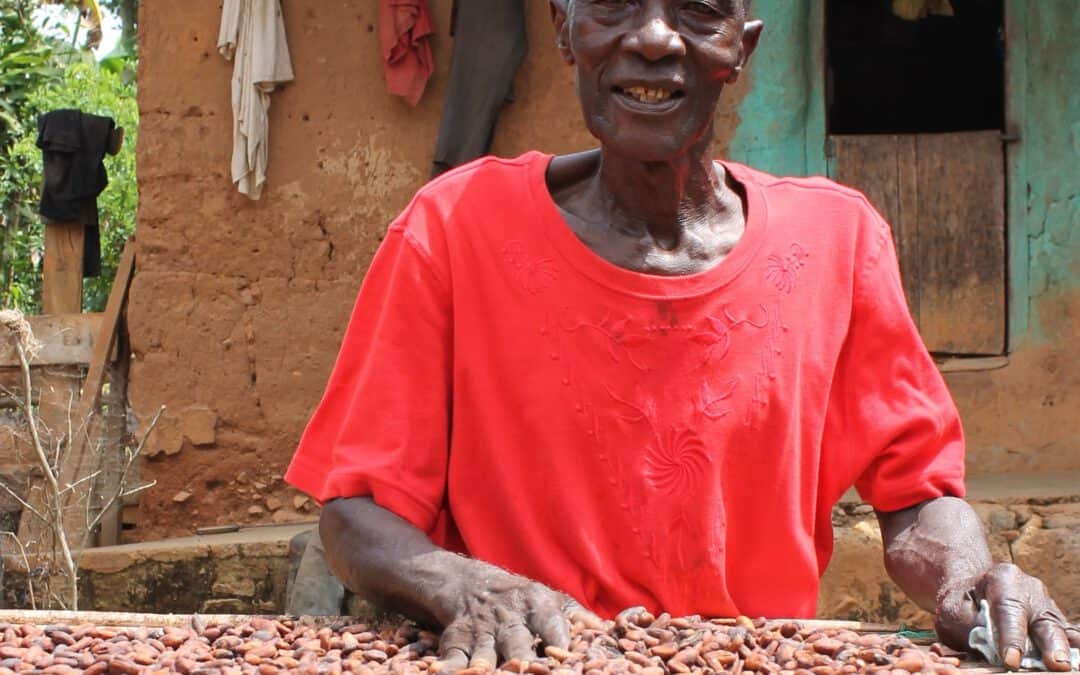 FAIRTRADE-Kakao-Mindestpreiserhöhung