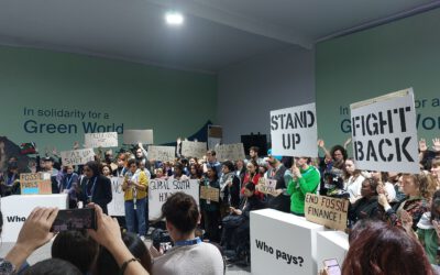 „Entwicklungspolitische Farce“ – Südwind übt scharfe Kritik an COP29